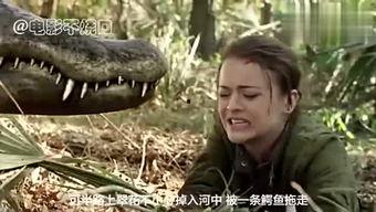 鳄鱼电影在线观看,在线惊悚之旅  第2张