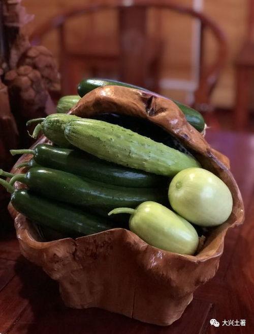 瓜瓜吃瓜网红,揭秘网红界的“瓜王”传奇  第2张