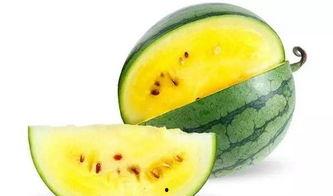 瓜瓜吃瓜网红,揭秘网红界的“瓜王”传奇  第3张